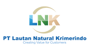 LNK